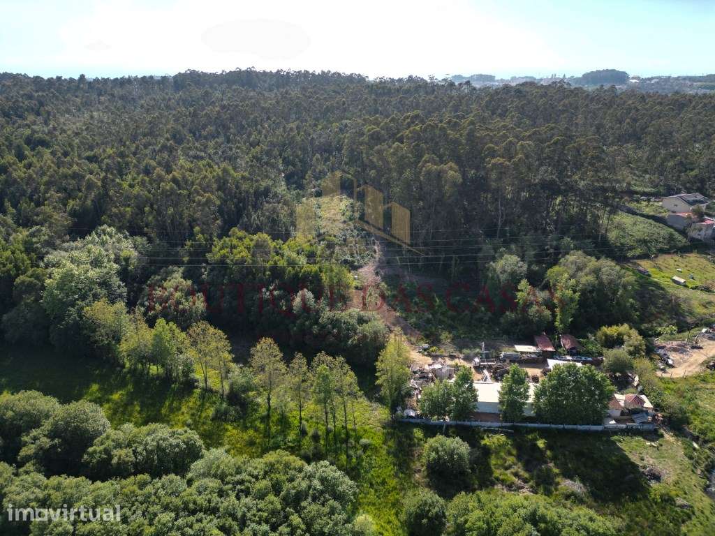 Terreno em Serezedo - Grande imagem: 3/11