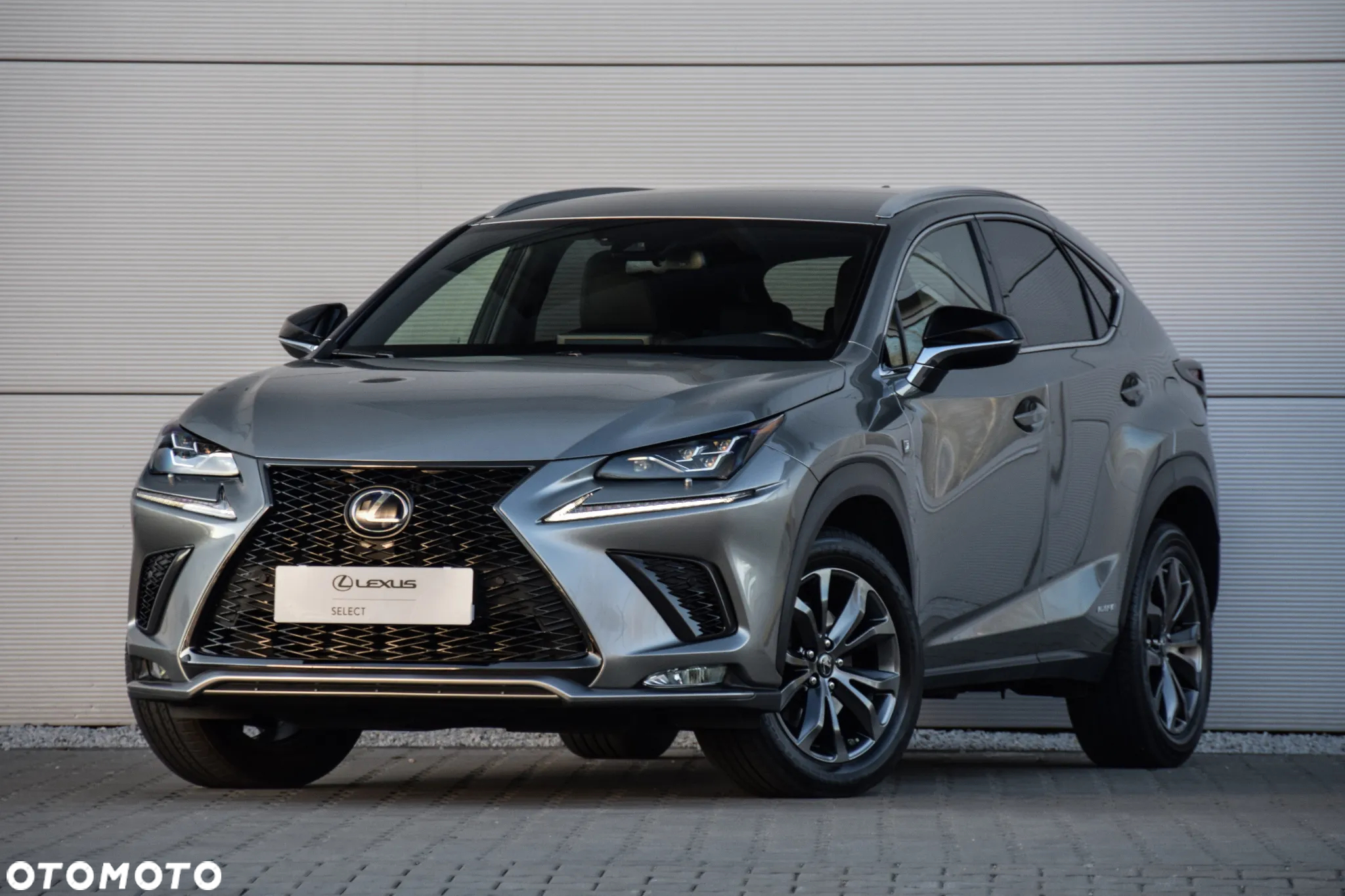 Lexus NX 300h F Sport Edition AWD - 2