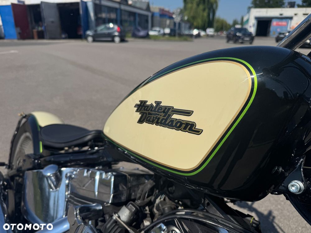 Harley-Davidson Softail - 12