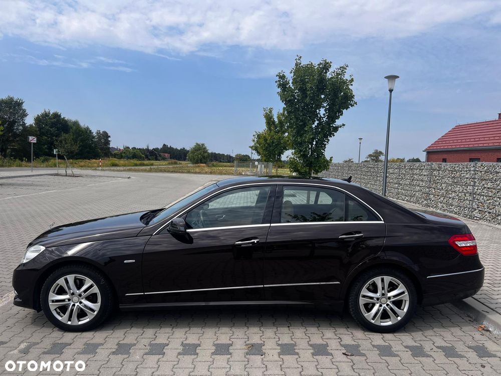 Mercedes-Benz Klasa E 350 CDI 4-Matic BlueEff Avantgarde - 6
