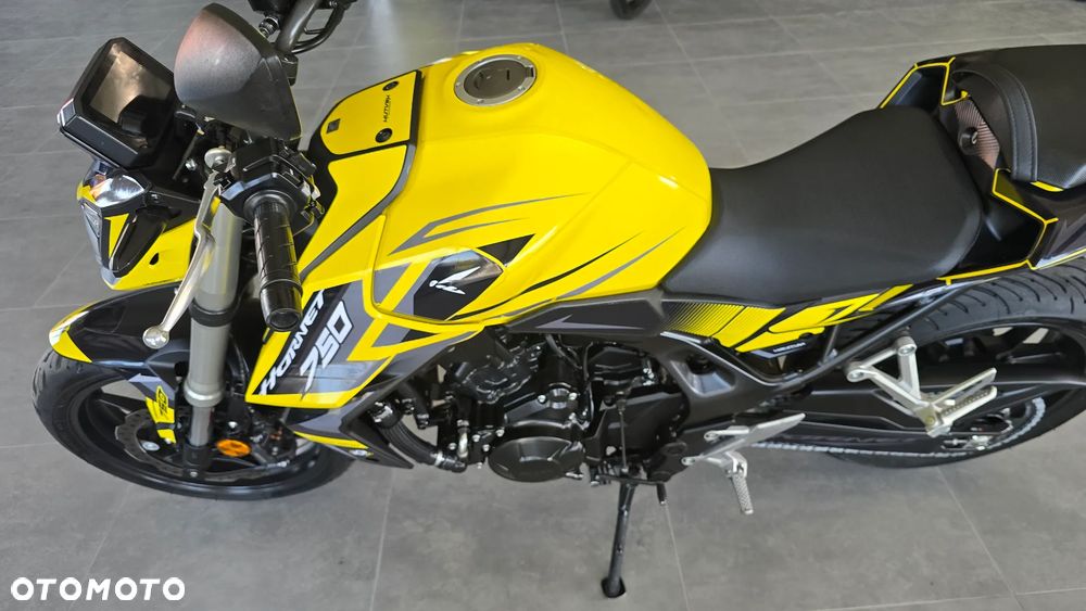 Honda Hornet - 20