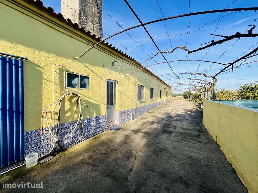 Quinta T3 para venda - Grande imagem: 4/38