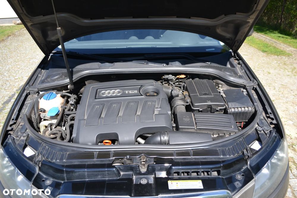 Audi A3 - 21