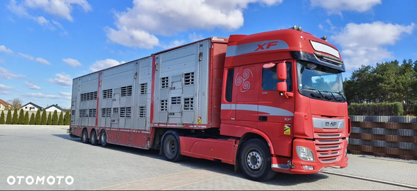 Pezzaioli SBA32/hydrauliczny  dach/hydrauliczna rampa/ 3 poziomy/ 2xbydło -3xtrzoda/wentylatory/poidła/sterowanie pilotem