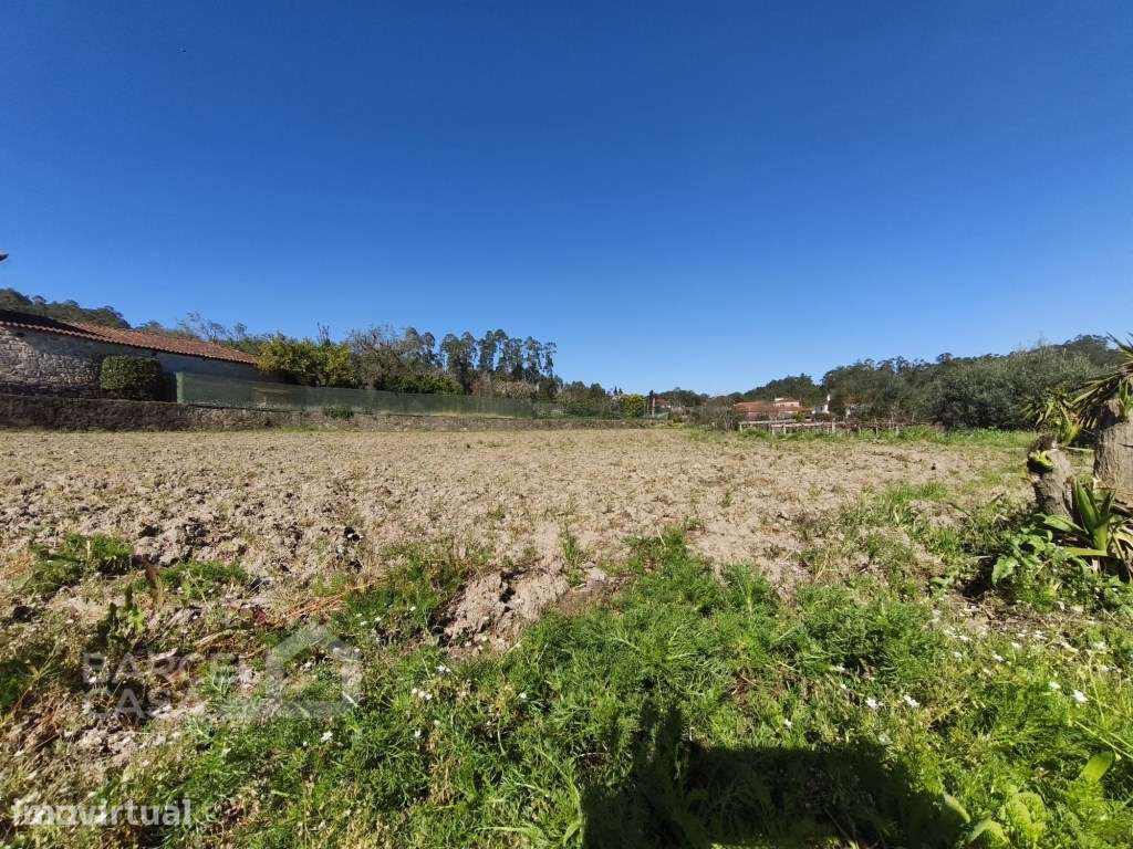 Terreno de construção em Couto - Barcelos - Grande imagem: 4/7