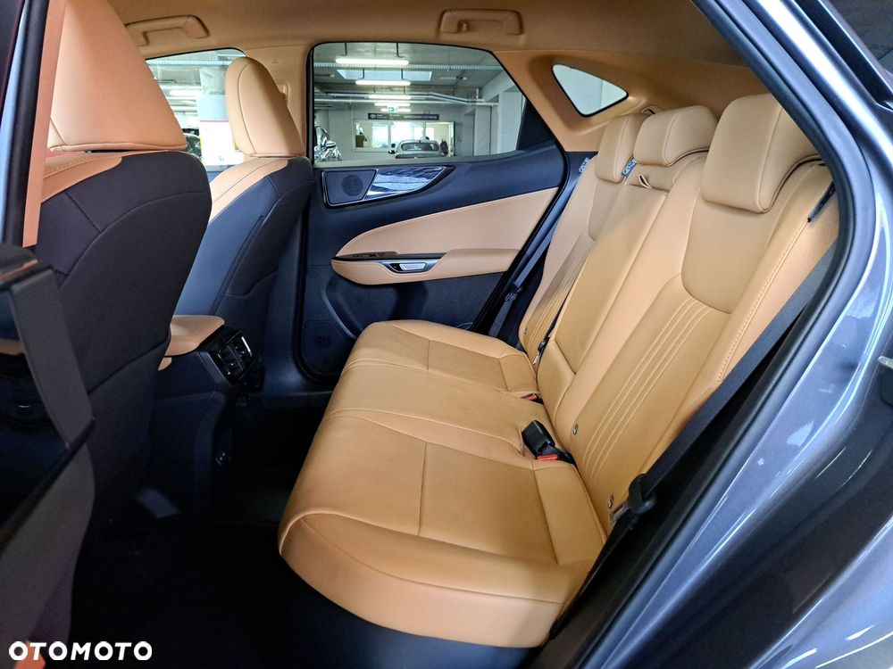 Lexus NX - 31