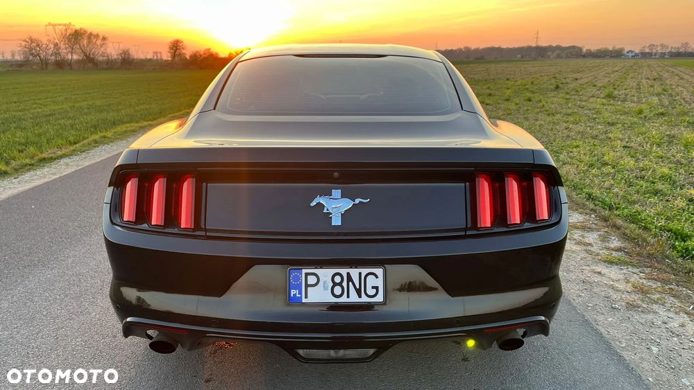 Ford Mustang 3.7 V6 - 6