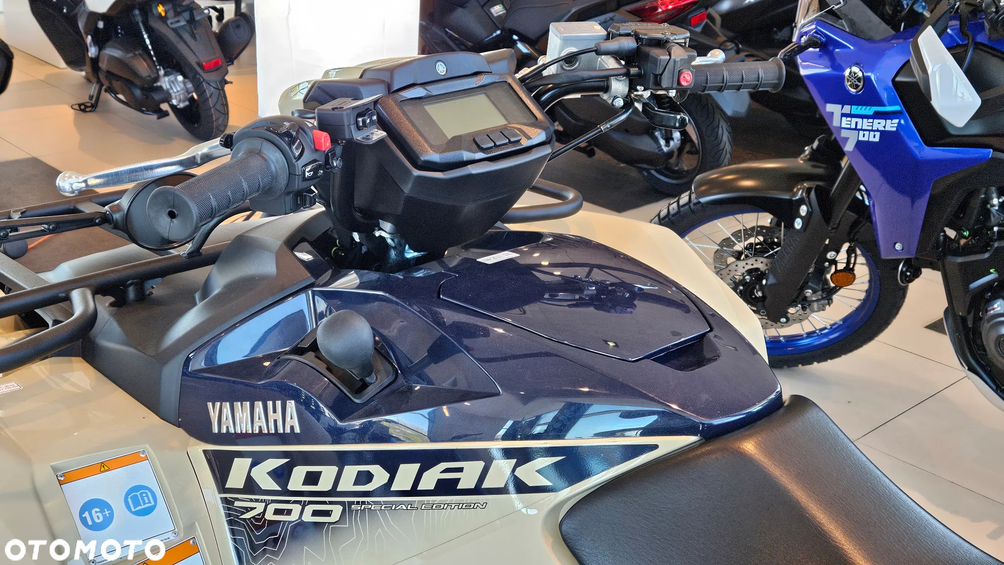 Yamaha Kodiak - 3
