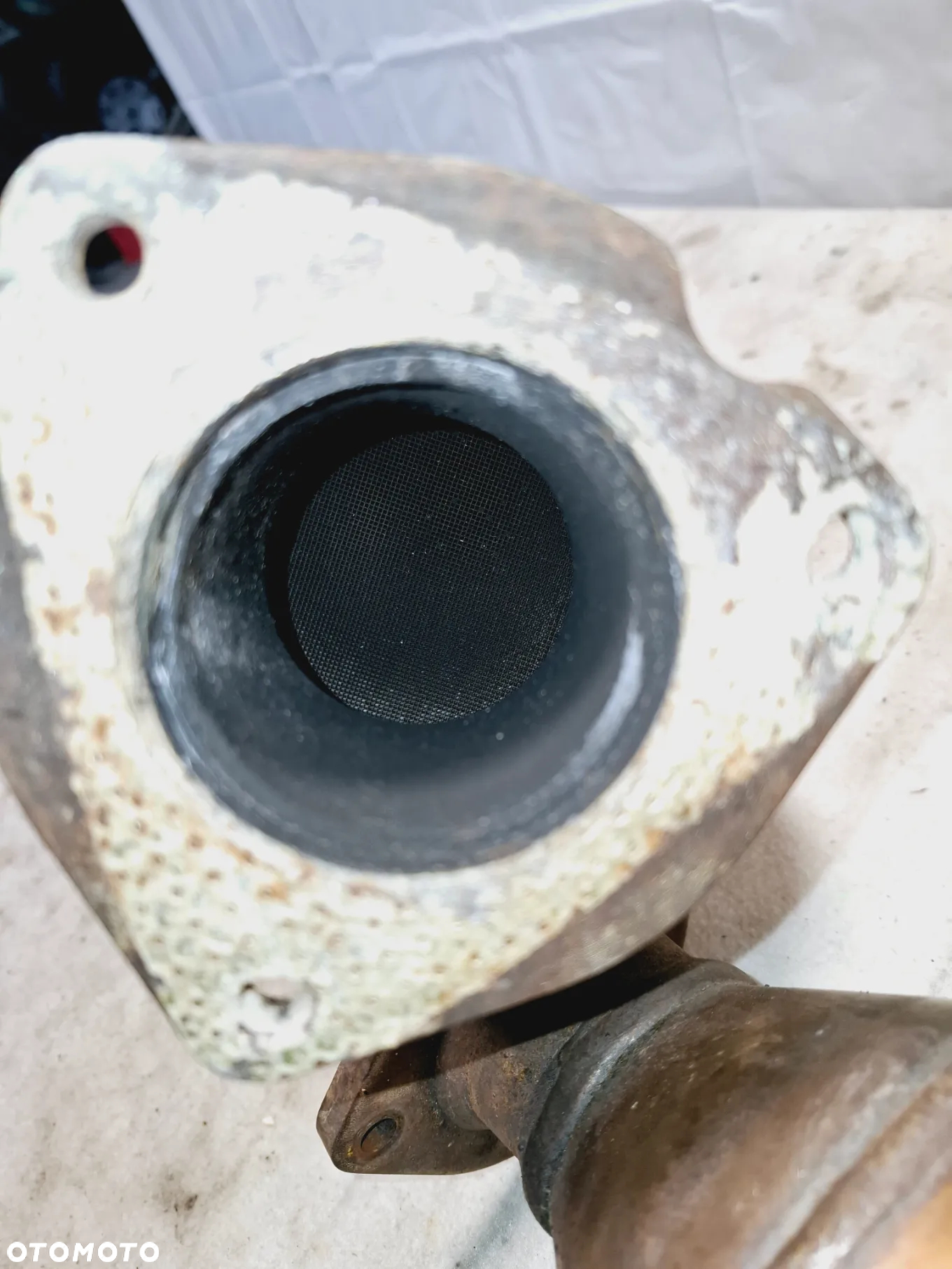 Katalizatora Filtr Spalin Lewy/Prawy 2.4 2.8 3.2 Audi 4F0131701AN 4F0178EA 4F0131701AP 4F0178EA - 4
