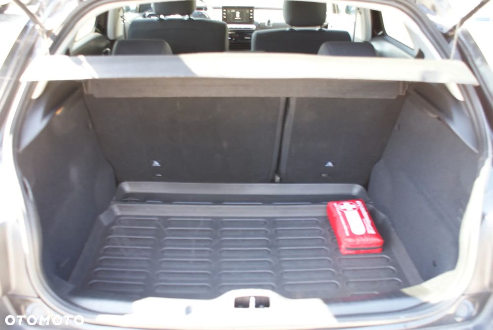 Citroën C4 Cactus - 11