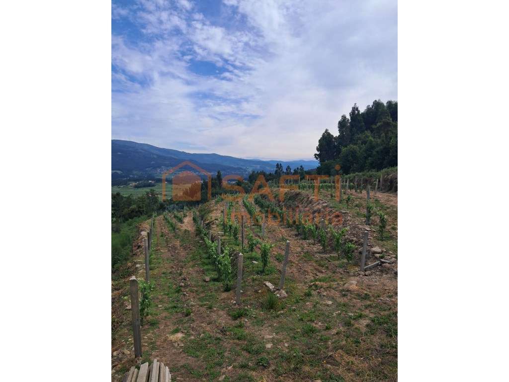 Terreno Rustico - Grande imagem: 2/11