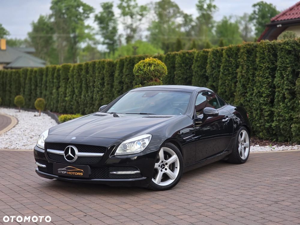Mercedes-Benz SLK 250 CDI BlueEff - 18