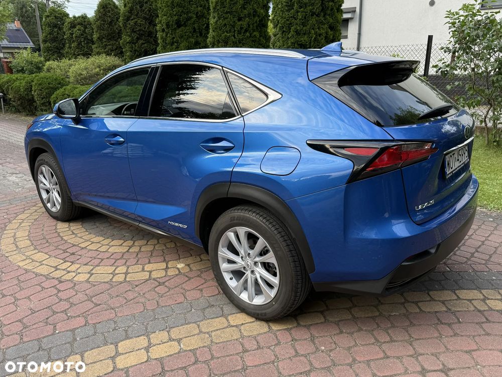 Lexus NX 300h Comfort AWD - 4