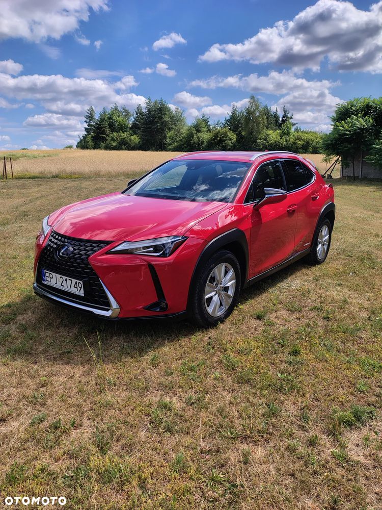 Lexus UX 250h Elegance AWD - 1