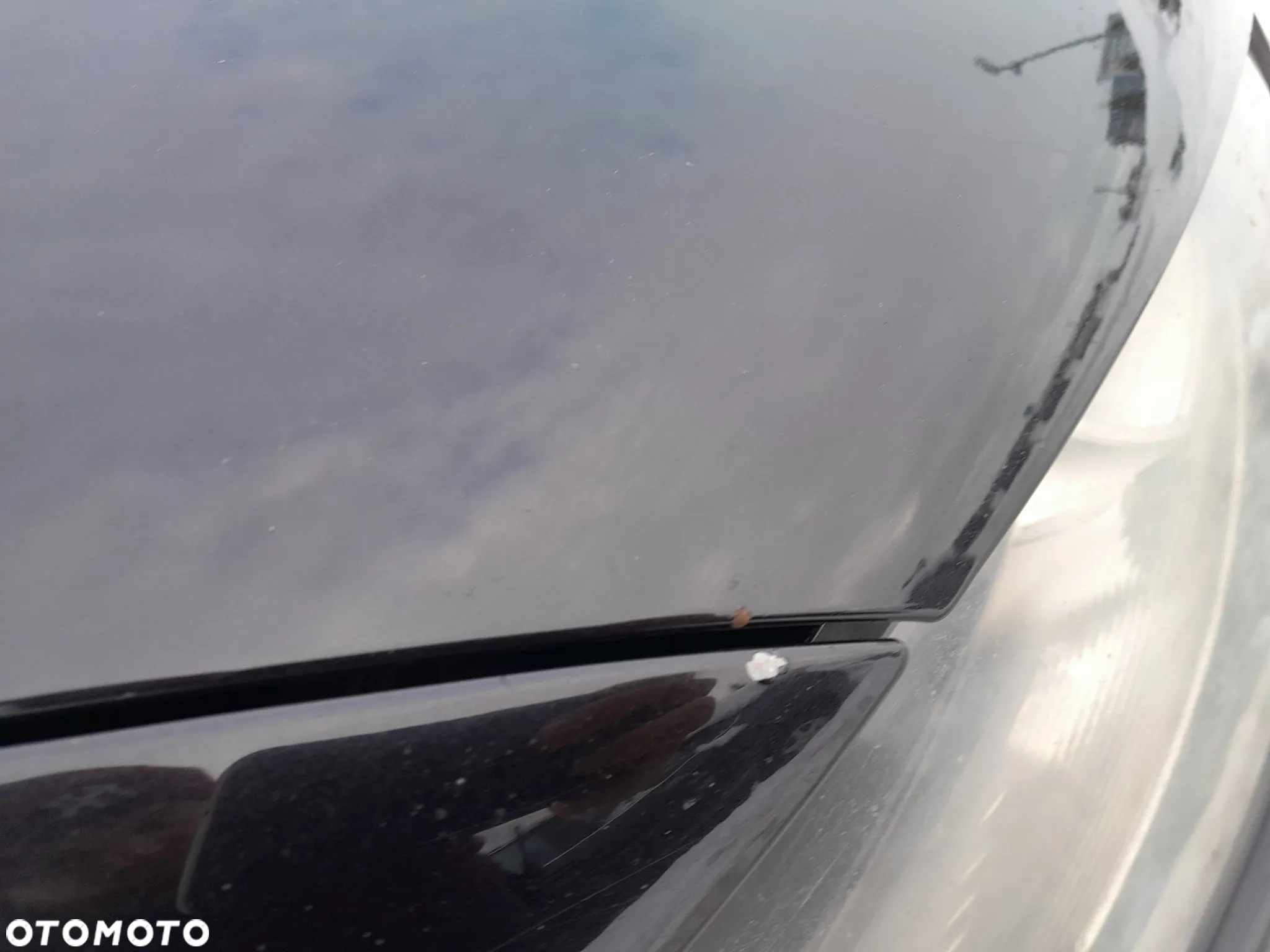 AUDI A3 8P II LIFT 10R BŁOTNIK PRAWY PRZEDNI PRAWY PRZÓD KOLOR: LZ9Y - 5