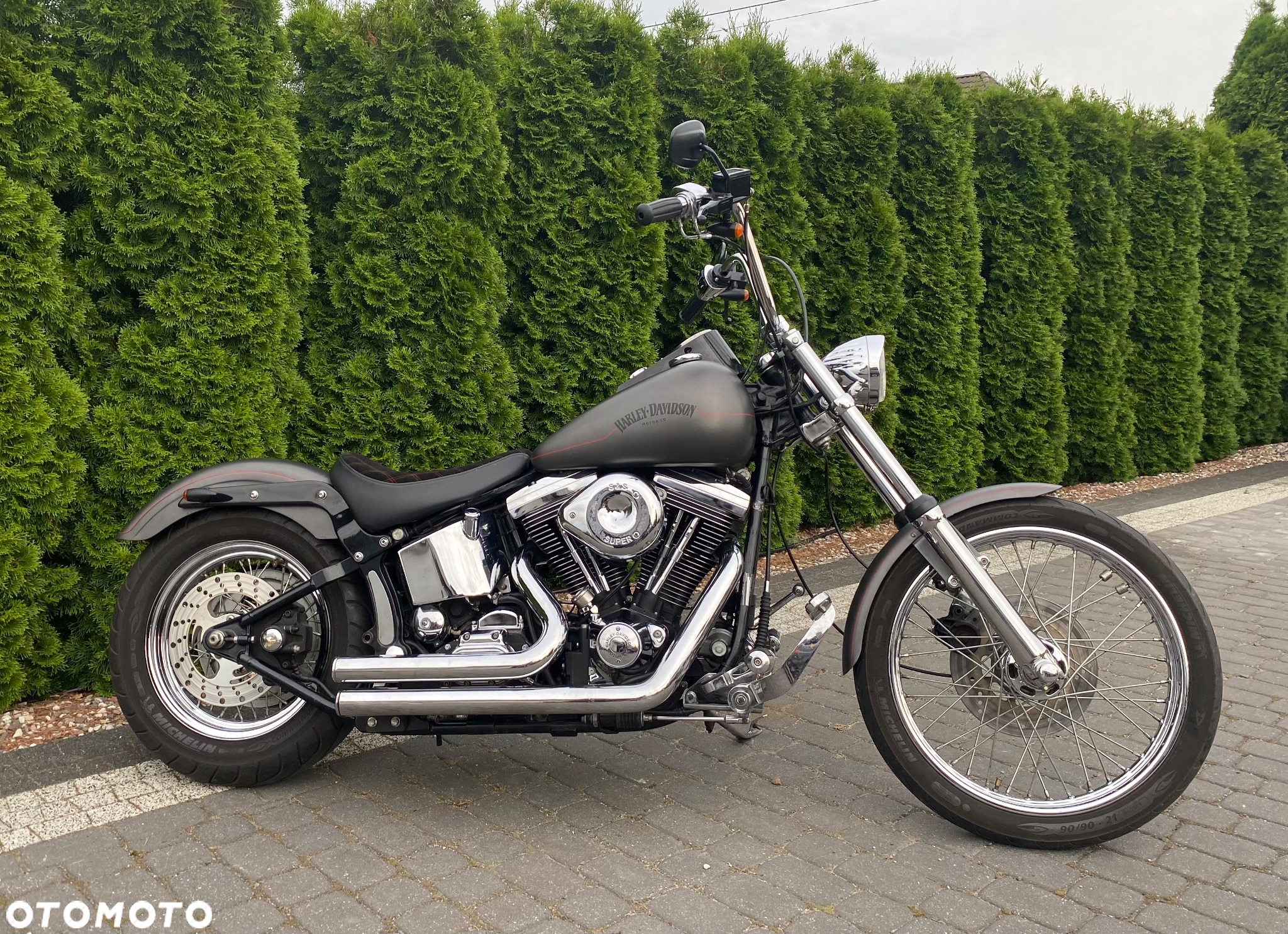 Harley-Davidson Softail Custom - 2
