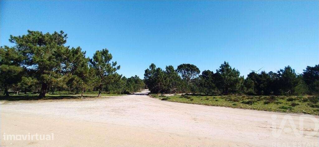 Terreno T1 em Vila do Bispo e Raposeira de 344887,00 m2 - Grande imagem: 2/27