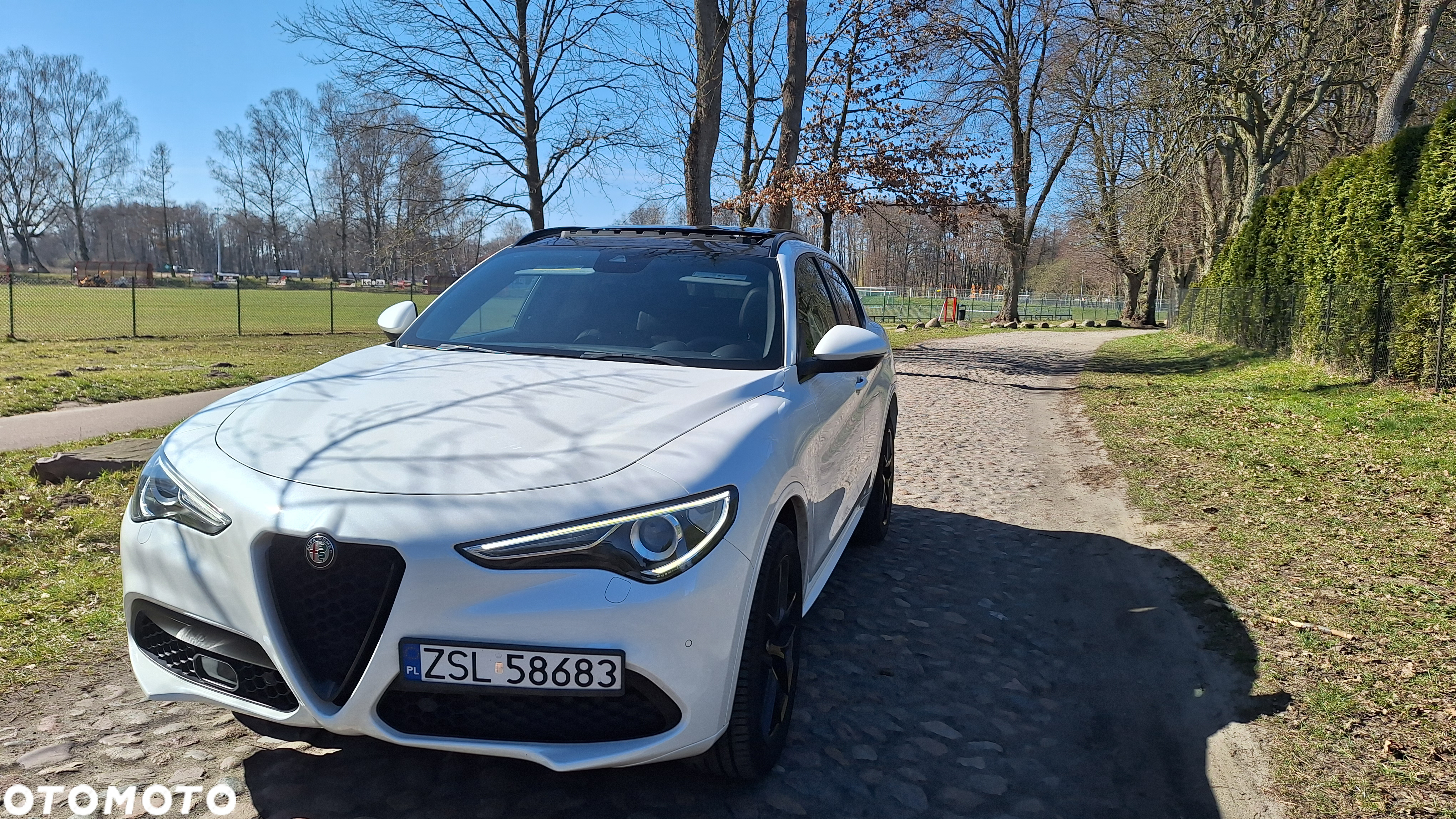 Alfa Romeo Stelvio 2.0 Turbo 16V AT8-Q4 Veloce Ti - 5