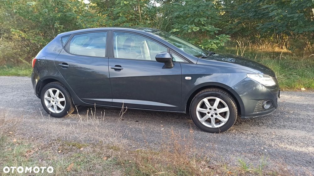 Seat Ibiza - 13