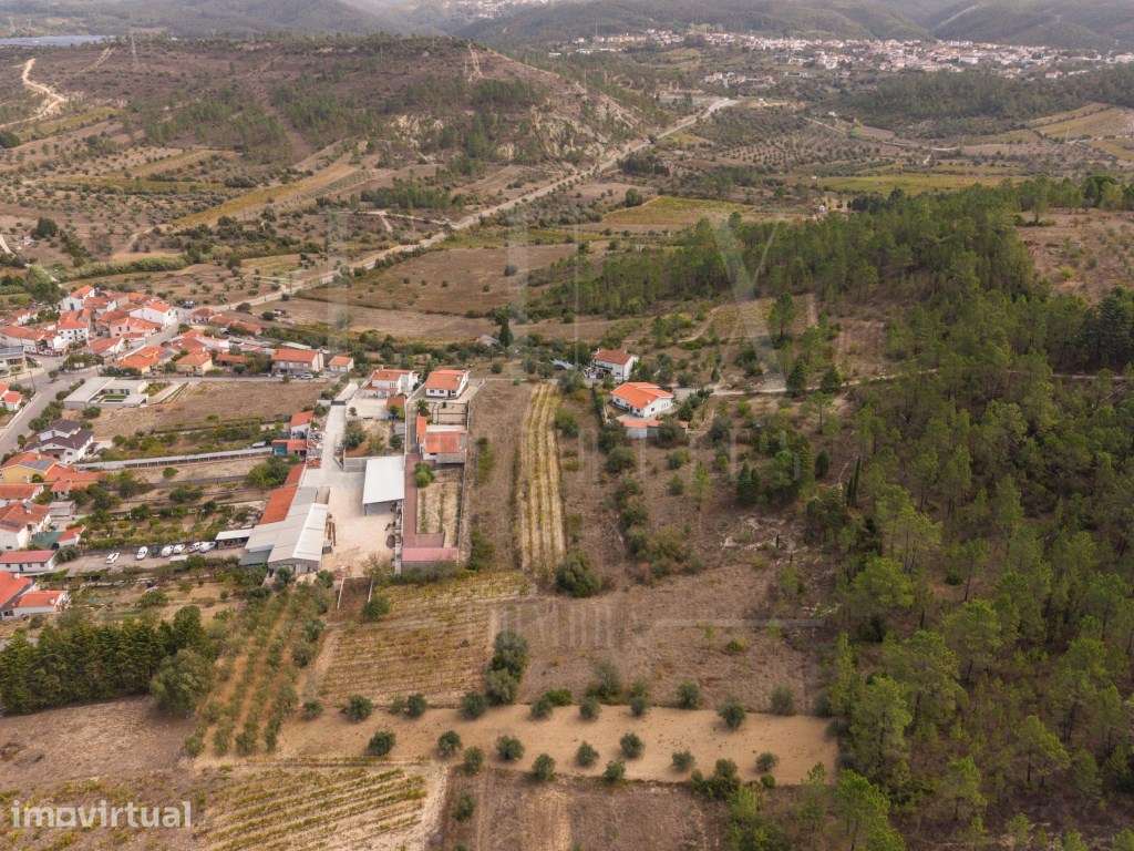 Terreno Rústico | Torre de Vilela, Coimbra - Grande imagem: 5/14