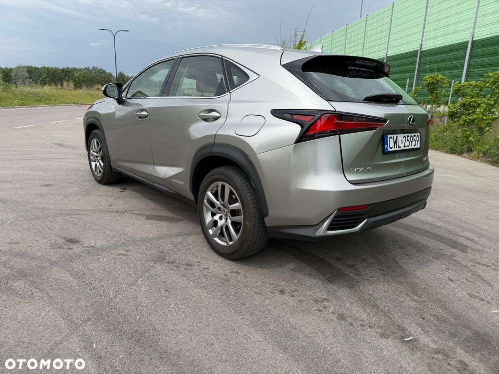 Lexus NX - 6
