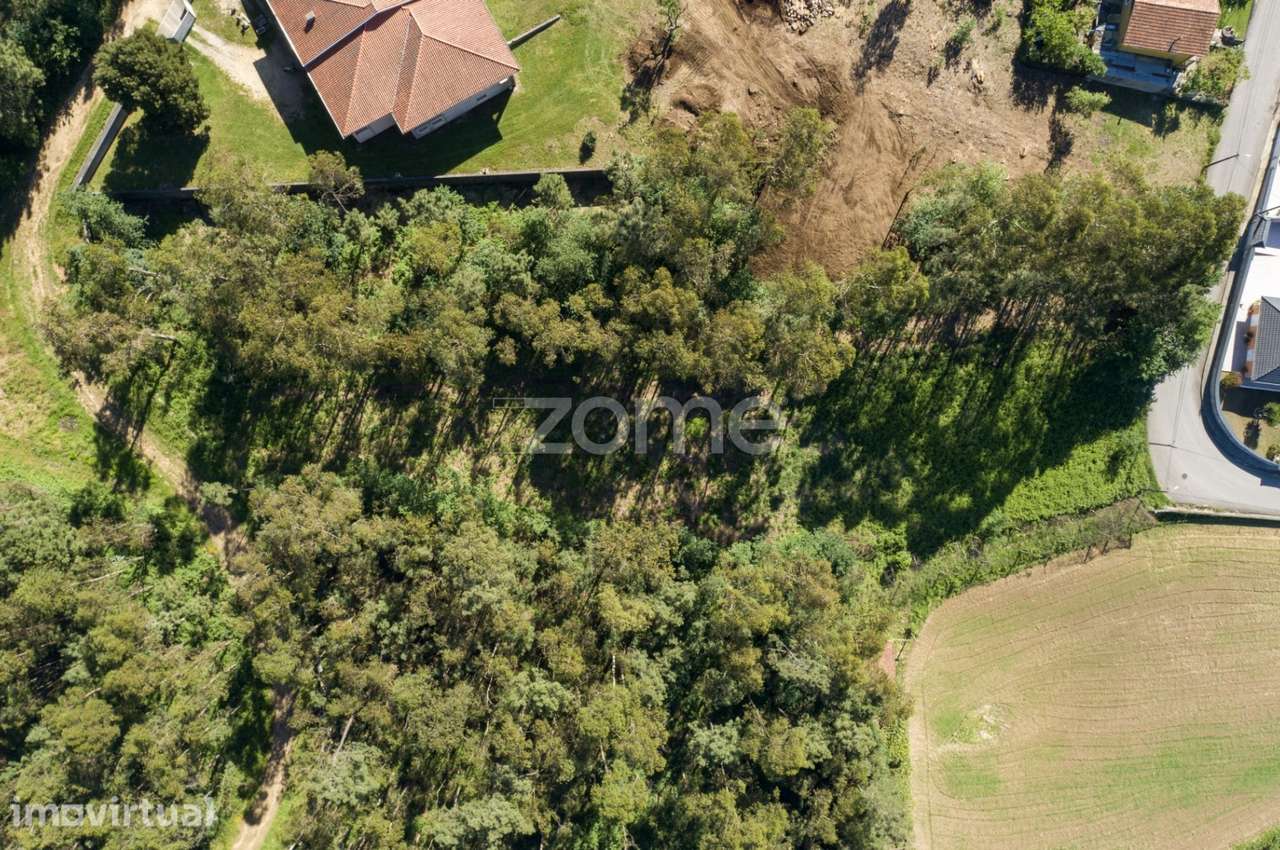 Terreno urbanizável em Caldas de São Jorge - Santa Maria da Feira - Grande imagem: 2/19