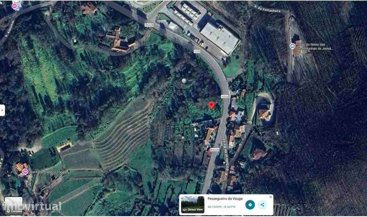 Imóvel Banco Terreno Rústico   Pessegueiro do Vouga Sever do Vouga - Grande imagem: 2/5
