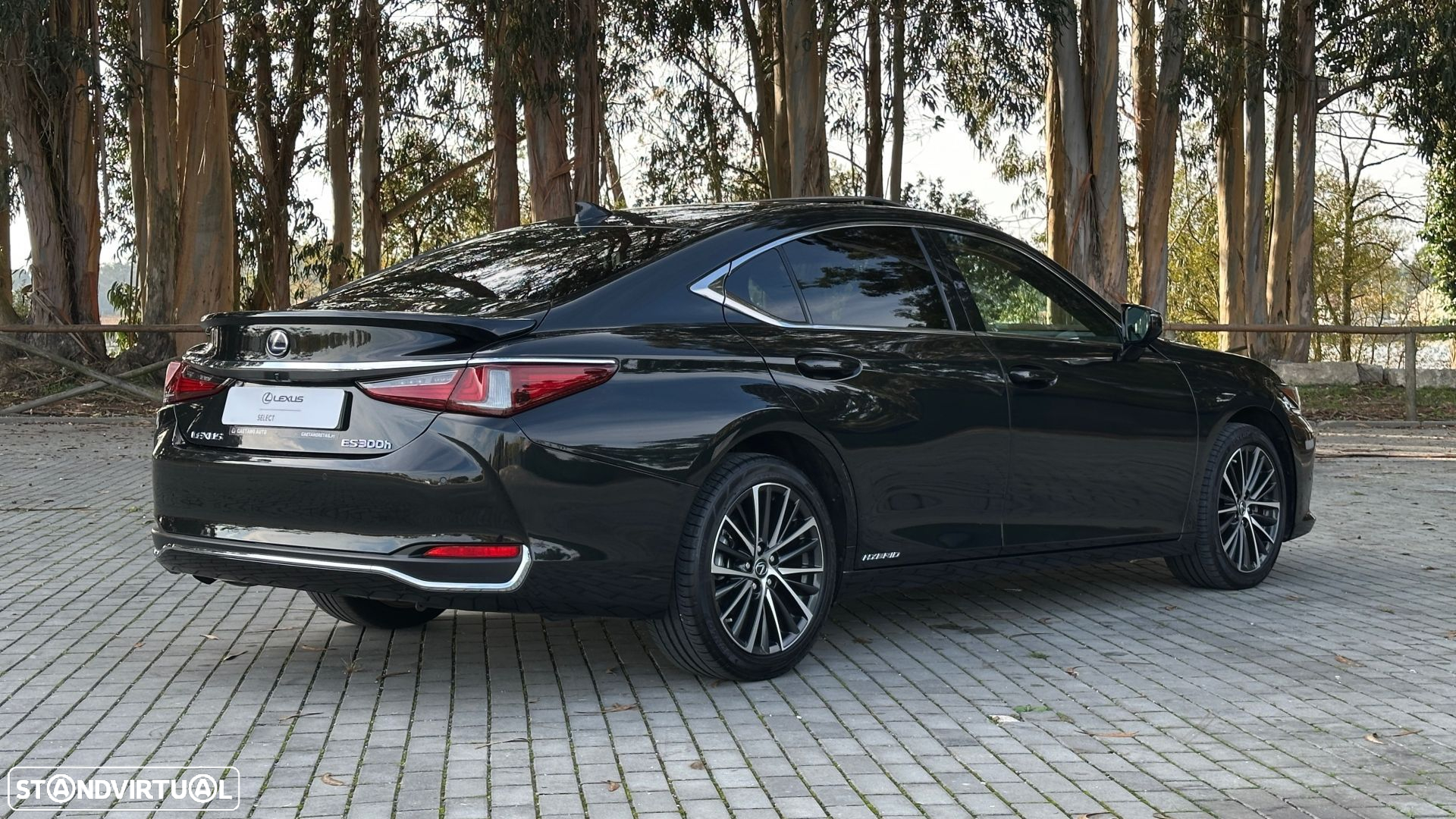 Lexus ES 300h Special Edition - 5