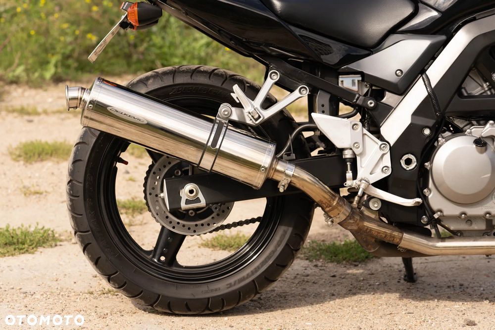 Suzuki SV - 10