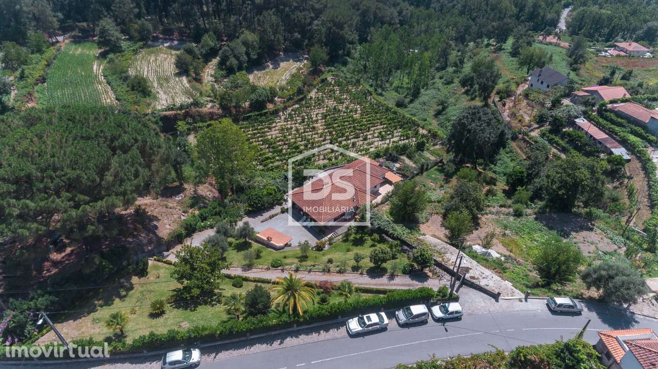 Quinta com Vinha e Produção de Vinho – Freixo de Baixo, Amarante - Grande imagem: 5/40