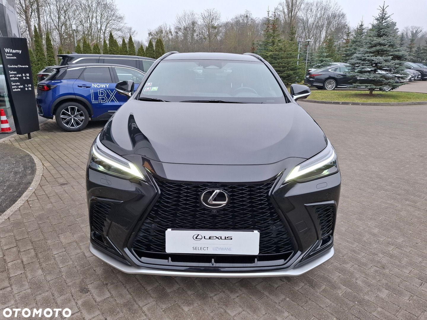 Lexus NX - 8