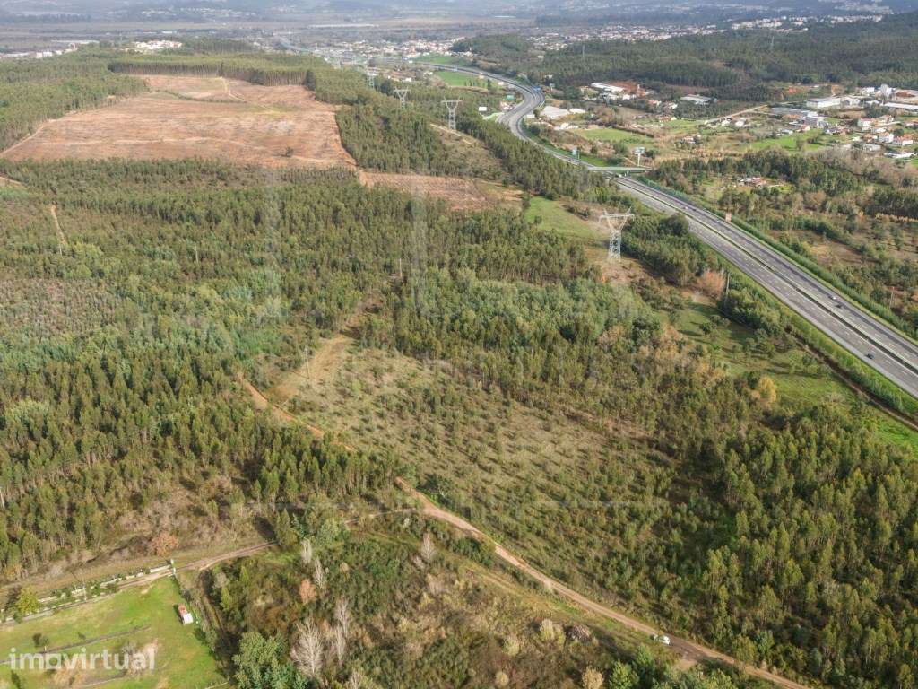 Terreno | Quinta do Acipreste, Antanhol - Grande imagem: 3/19
