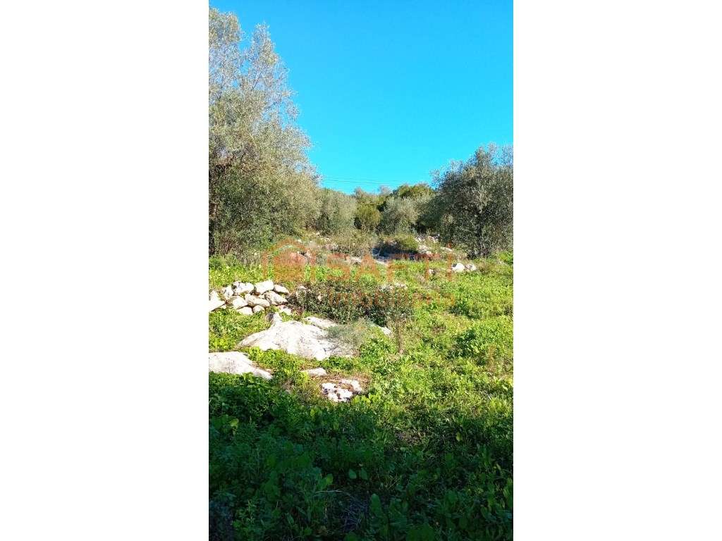 Terreno urbano de 2955 m2, em Mira Daire - Grande imagem: 3/5