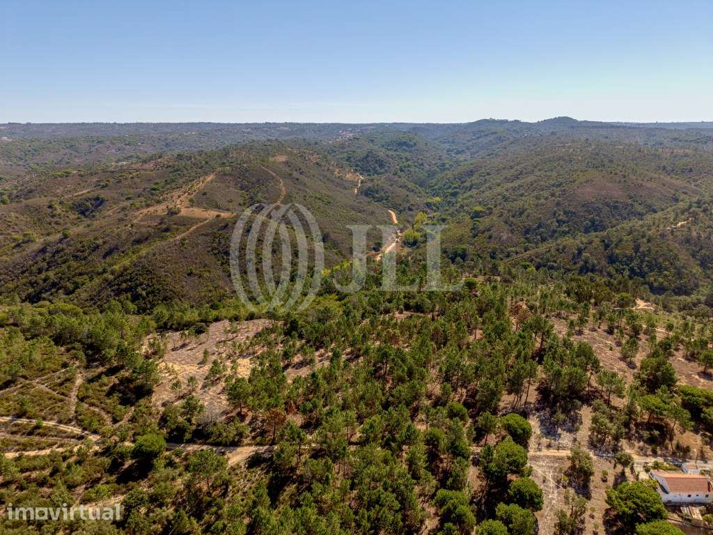 Terreno, nas colinas de Melides, Vale Figueira, Comporta - Grande imagem: 5/20