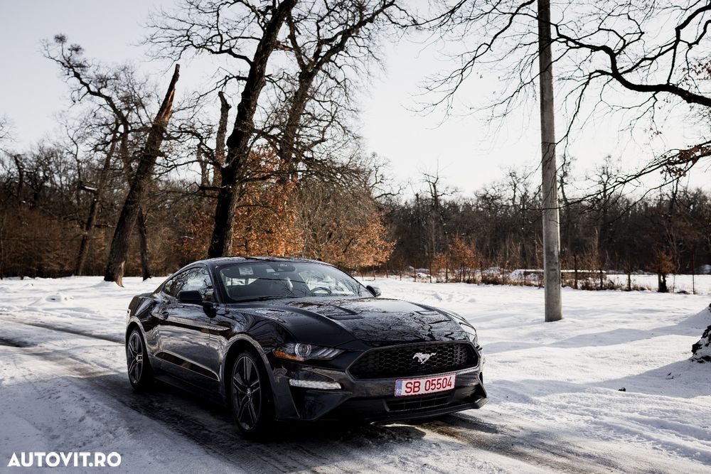 Ford Mustang 2.3 EcoBoost - 7