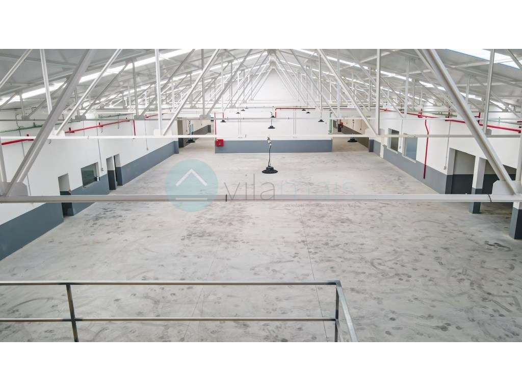 Pavilhão Industrial com 5 Naves, Escritórios e Cais de Carga | Rebo... - Grande imagem: 3/23
