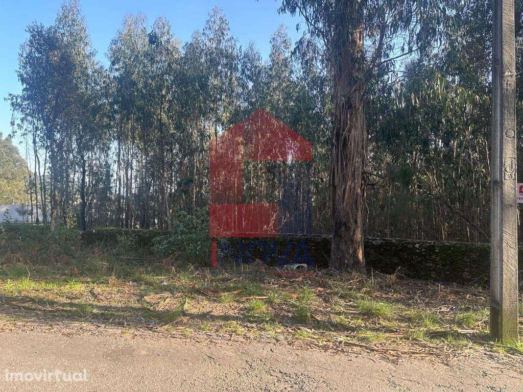 Terreno agrícola de produção, Portela das Cabras - Grande imagem: 2/19