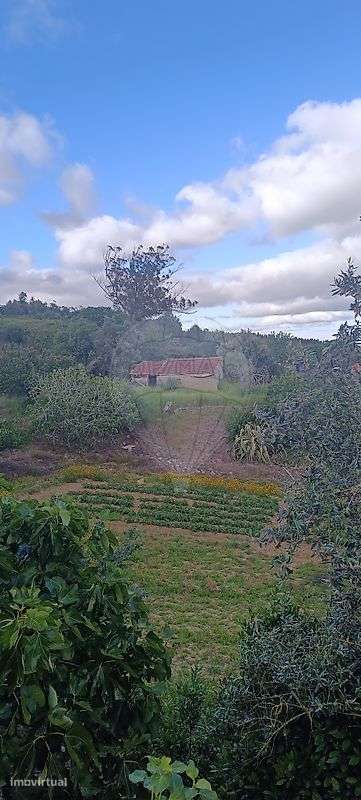 Terreno  para venda - Grande imagem: 2/16