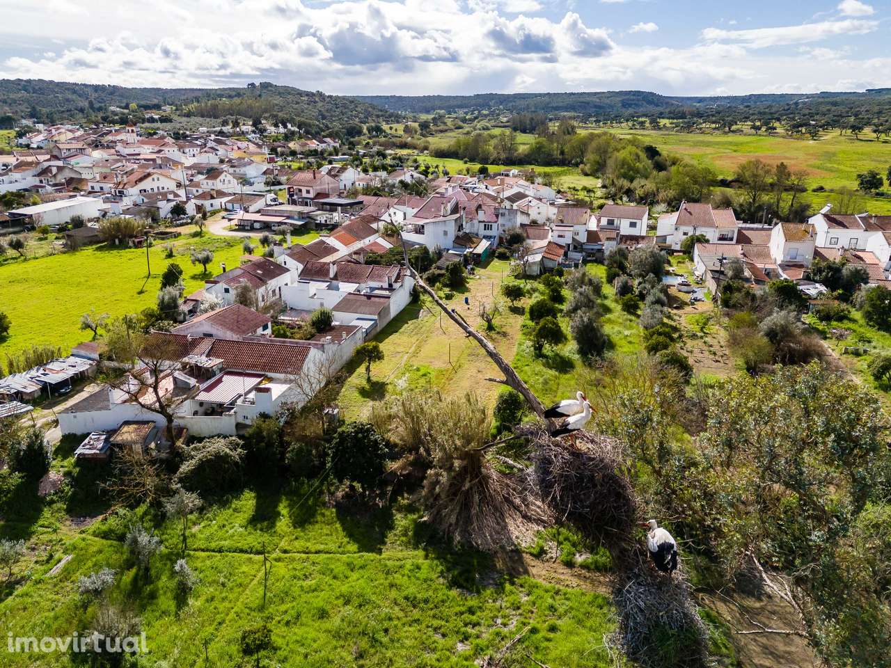 MORADIA T1 + ANEXOS E TERRENO | BEMPOSTA | ABRANTES - Grande imagem: 3/48