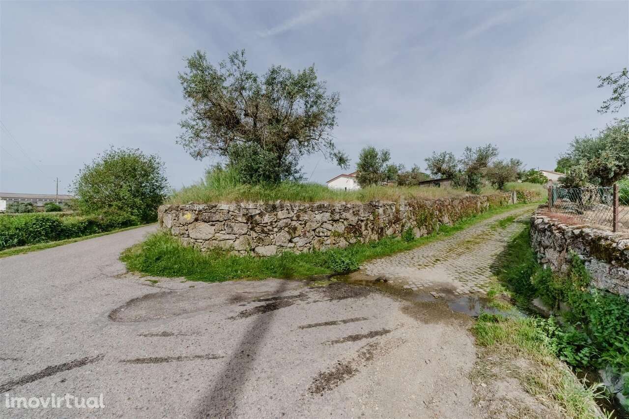 Terreno / Belmonte, Caria - Grande imagem: 5/20