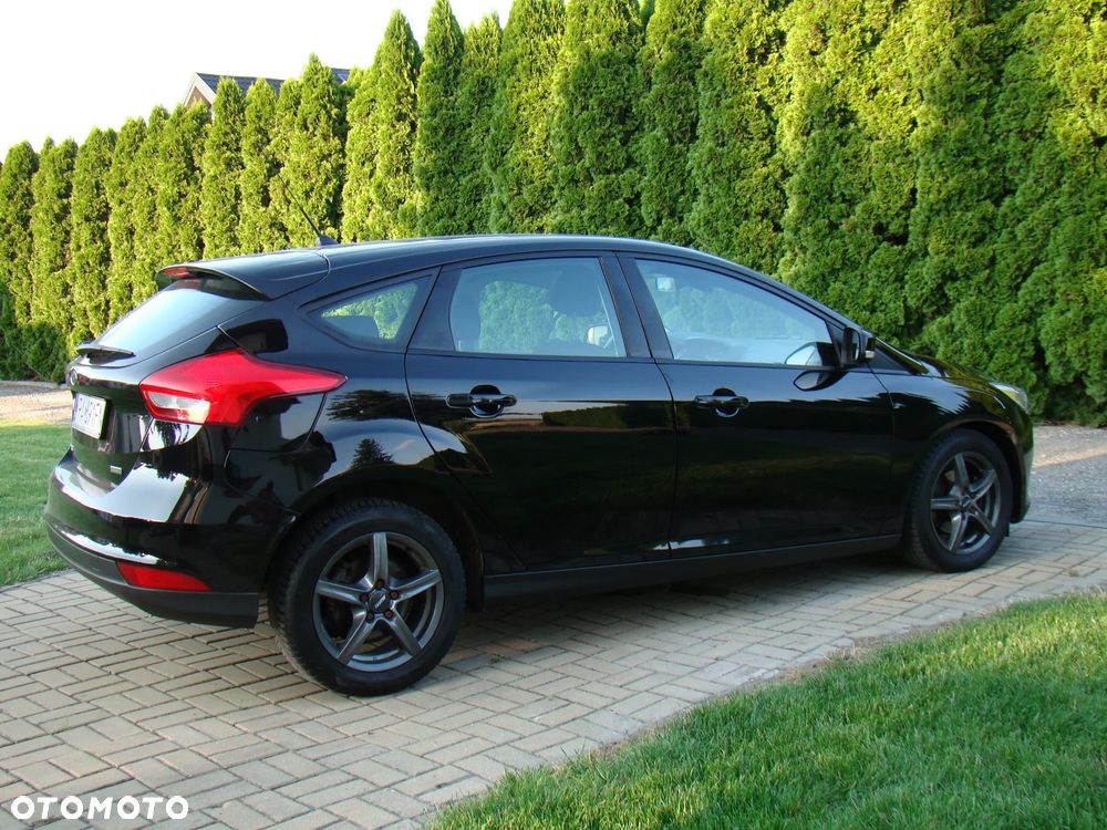 Ford Focus - 13
