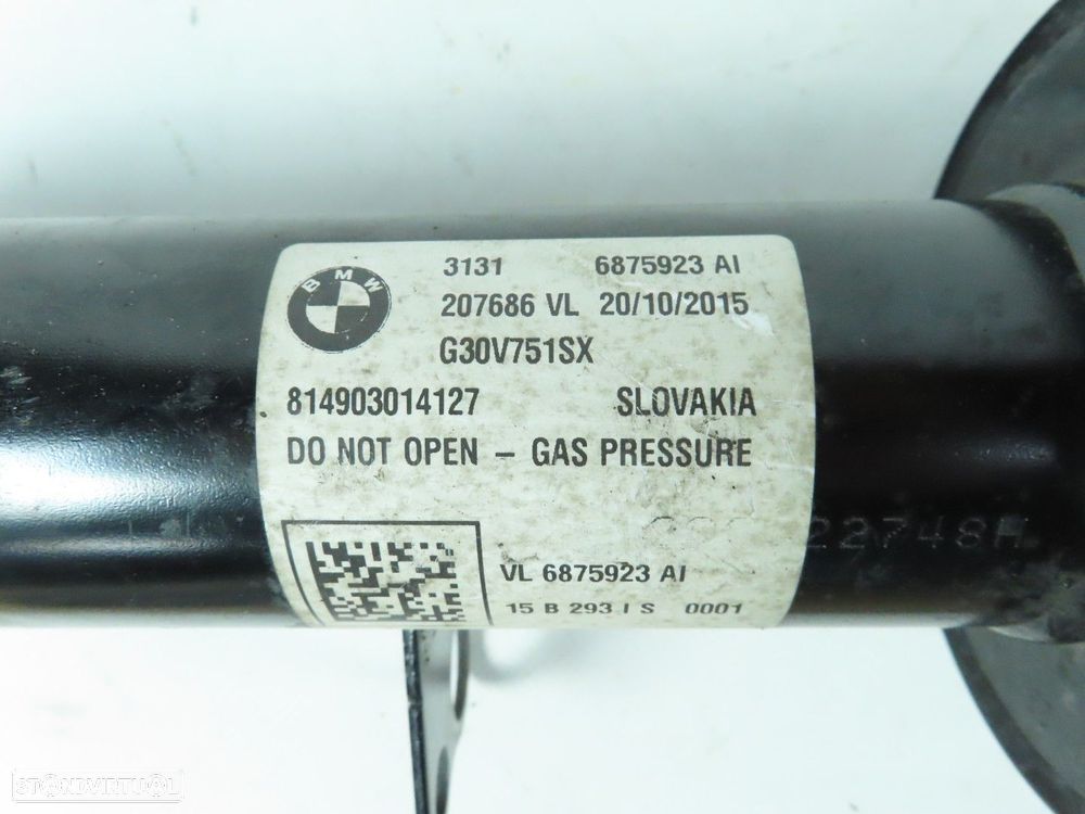 Amortecedor M Esquerdo/Frente Seminovo/ Original BMW 5 (G30, F90) 31316875923 - 4