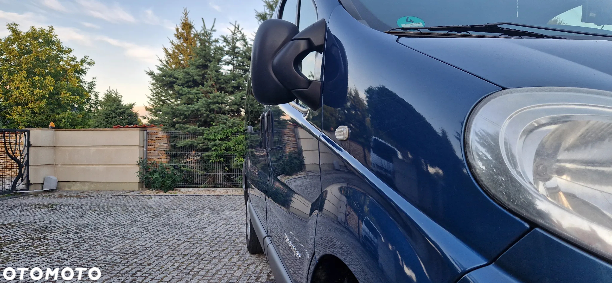 Renault Trafic 2.0 dCi 115 Combi L1H1 - 13