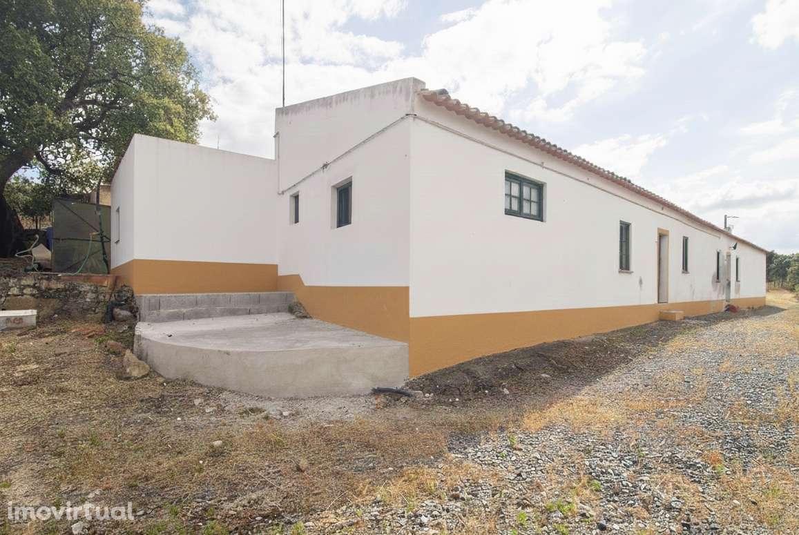 Herdade - Alvito - Grande imagem: 2/60