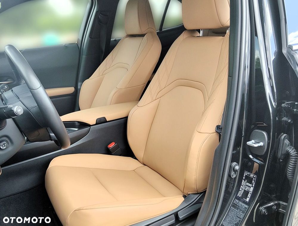 Lexus UX 250h GPF F Sport Design 2WD - 14