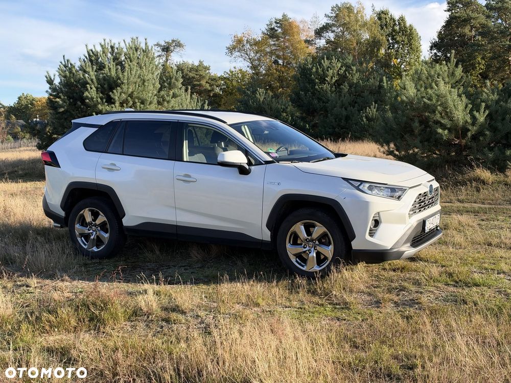 Toyota Rav4 2019 photo 2