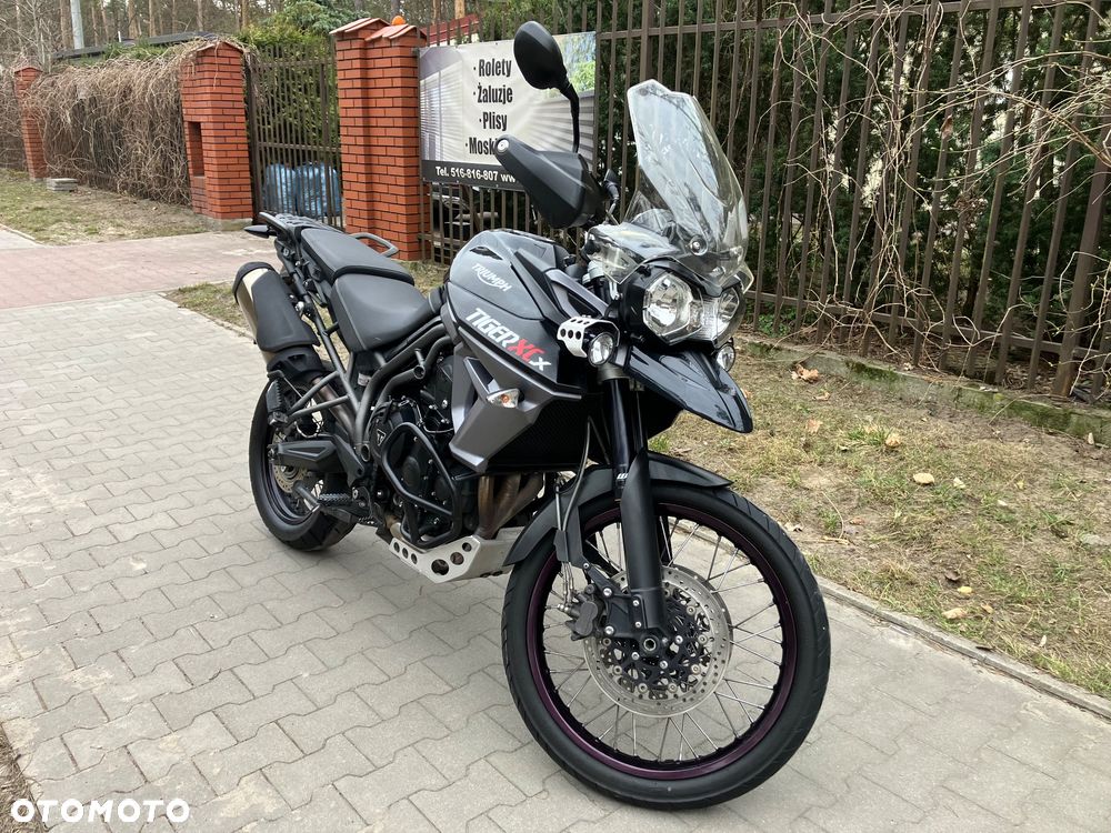 Triumph Tiger - 5