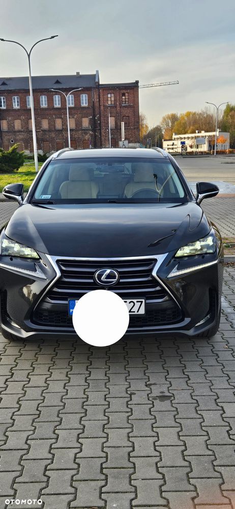 Lexus NX - 8