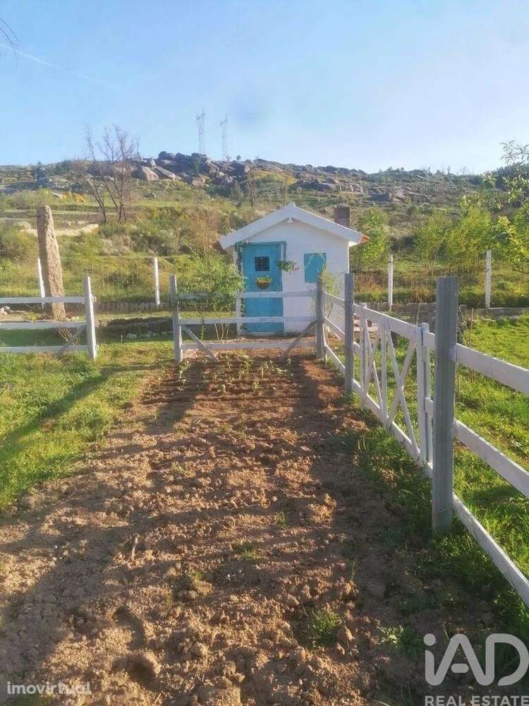 Terreno em Oliveira do Hospital e São Paio de Gramaços - Grande imagem: 3/11