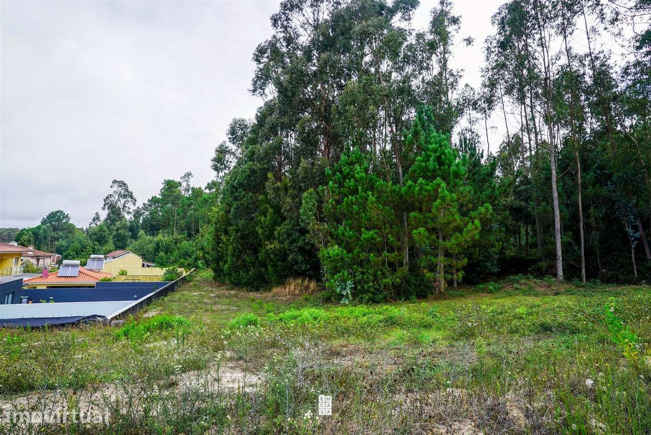Terreno  Venda em São Miguel do Souto e Mosteirô,Santa Maria da Feira - Grande imagem: 2/5